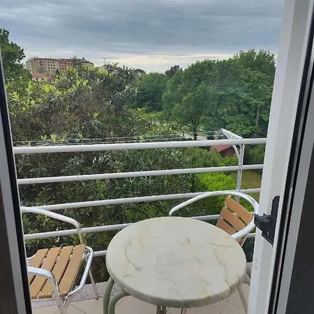 Apartment Dezela *